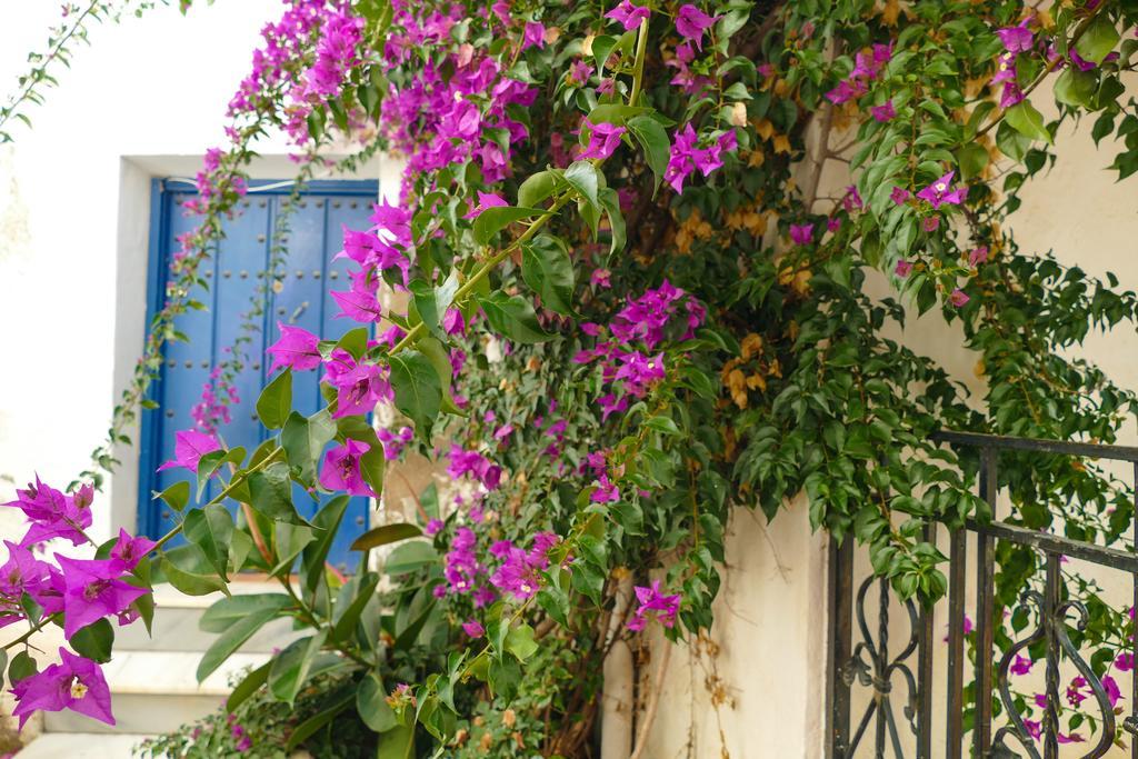 La Casa De La Bombilla Verde Trevélez Exteriér fotografie