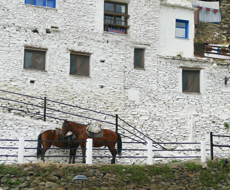 La Casa De La Bombilla Verde Trevélez Exteriér fotografie